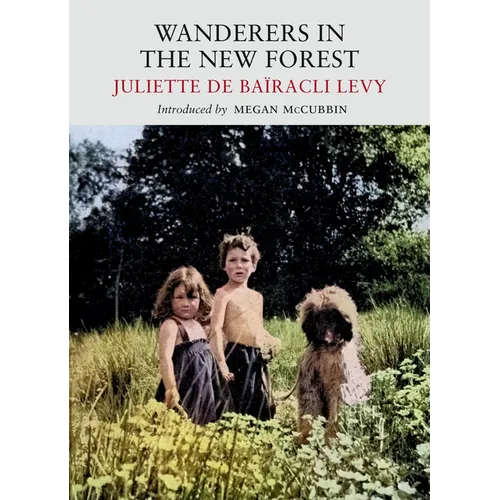 Wanderers in the New Forest - Paperback