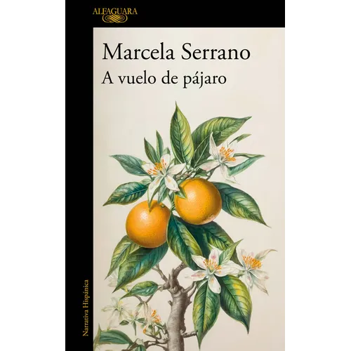 A Vuelo de Pájaro. Cuadernos / A Birds-Eye View - Paperback