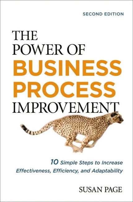 The Power of Business Process Improvement: 10 Simple Steps to Increase Effectiveness, Efficiency, and Adaptability - Paperback