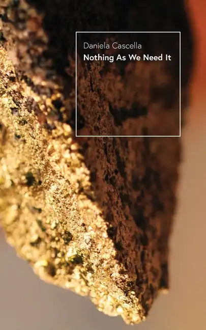 Nothing As We Need It: A Chimera - Paperback