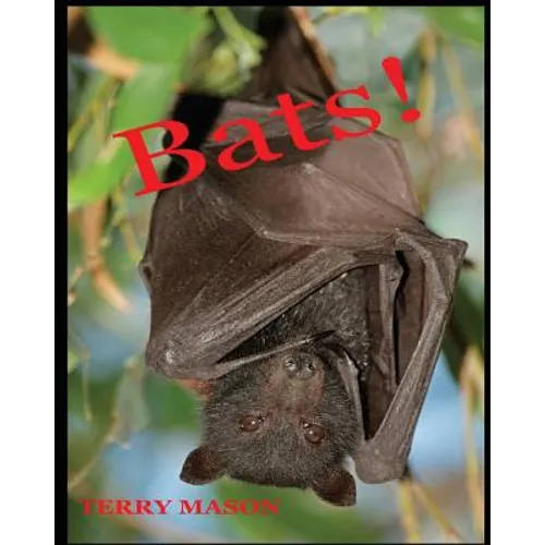 Bats: Learn About These Strange and Wonderful Creatures of the Night - Paperback