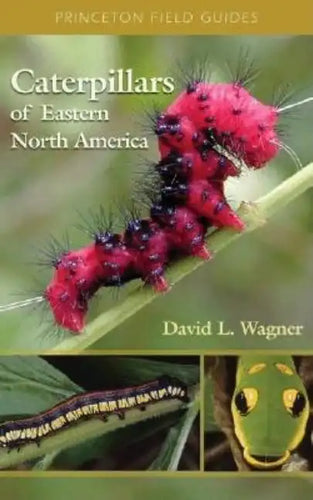 Caterpillars of Eastern North America: A Guide to Identification and Natural History - Paperback