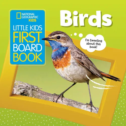 National Geographic Kids Little Kids First Board Book: Birds - Board Book