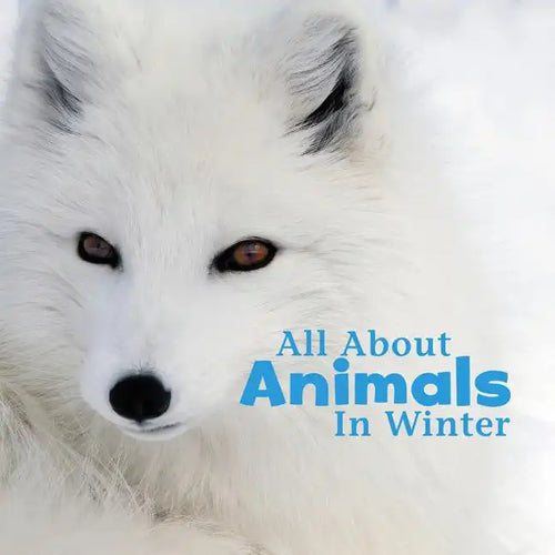 All about Animals in Winter - Paperback