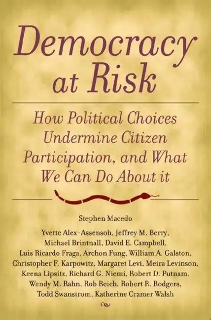 Democracy at Risk: How Political Choices Undermine Citizen Participation, and What We Can Do About It - Paperback