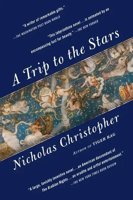 A Trip to the Stars - Paperback