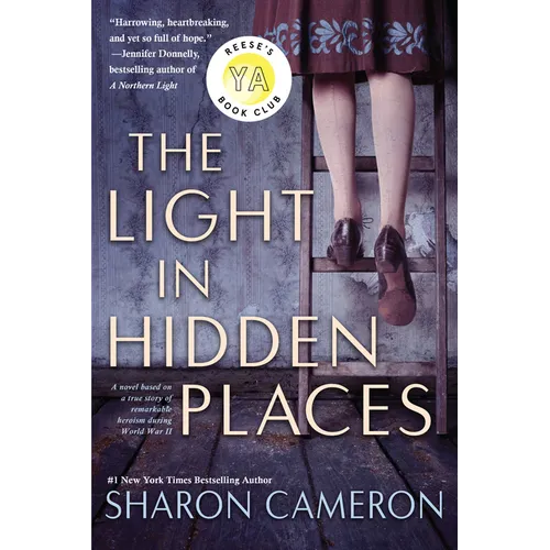 The Light in Hidden Places - Paperback