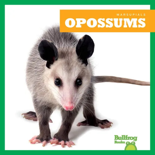 Opossums - Library Binding