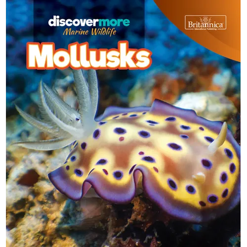 Mollusks - Library Binding
