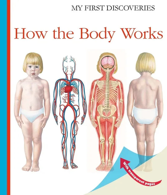 How the Body Works - Spiral