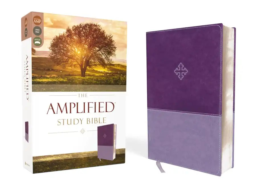 Amplified Study Bible, Imitation Leather, Purple - Imitation Leather