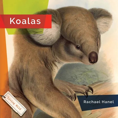 Koalas - Paperback