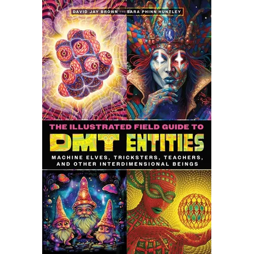 The Illustrated Field Guide to Dmt Entities: Machine Elves, Tricksters, Teachers, and Other Interdimensional Beings - Paperback