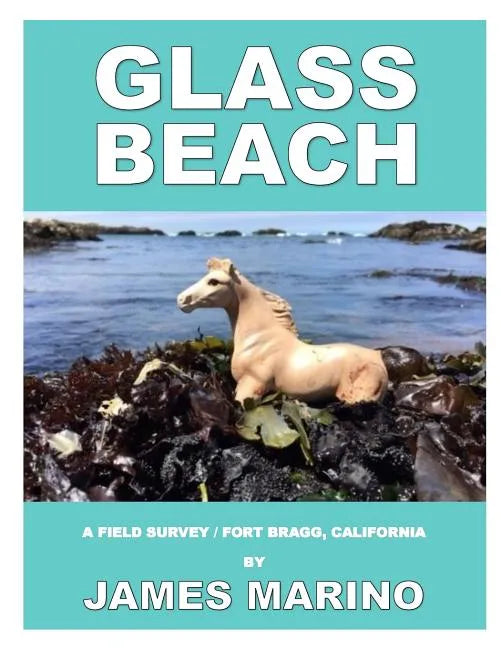 Glass Beach: A Field Survey / Fort Bragg, California - Paperback