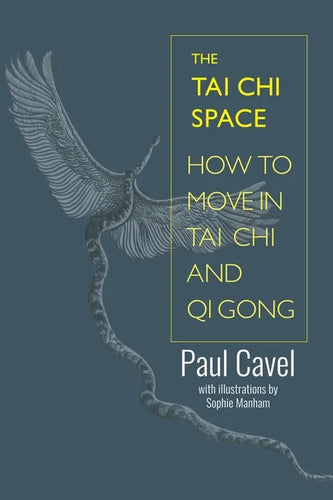 The Tai Chi Space: How to Move in Tai Chi and Qi Gong - Paperback
