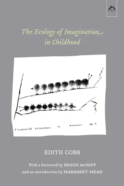 The Ecology of Imagination in Childhood - Paperback