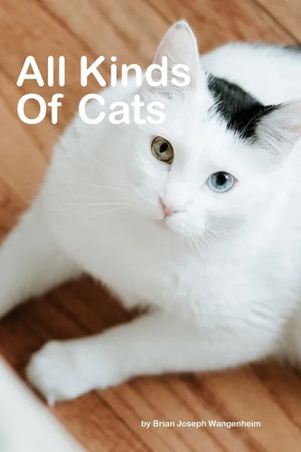 All Kinds Of Cats: beautiful pictures of cats - Paperback