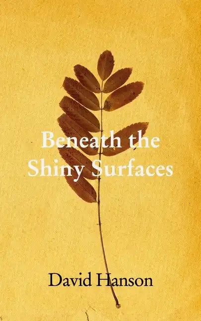 Underneath The Shiny Surfaces: Philosophical Musings - Paperback