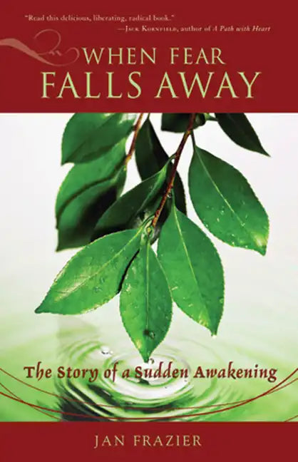 When Fear Falls Away: The Story of a Sudden Awakening - Paperback