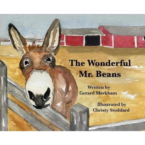 The Wonderful Mr. Beans - Hardcover