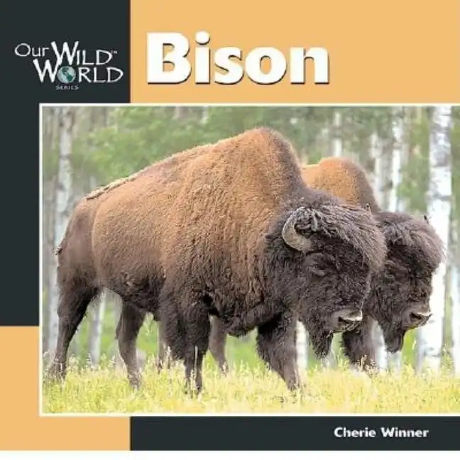 Bison - Paperback