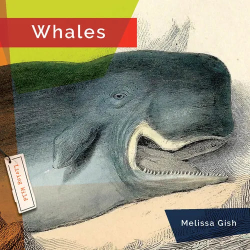 Whales - Library Binding