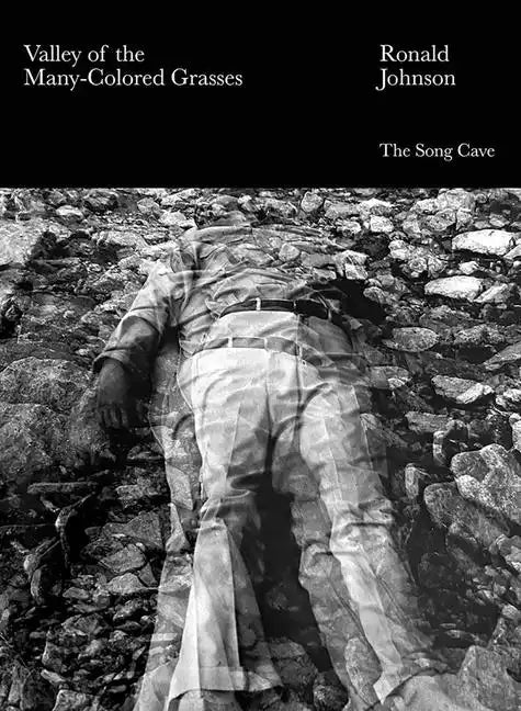 Valley of the Many-Colored Grasses - Paperback