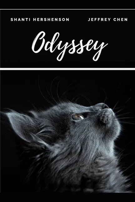 Odyssey - Paperback