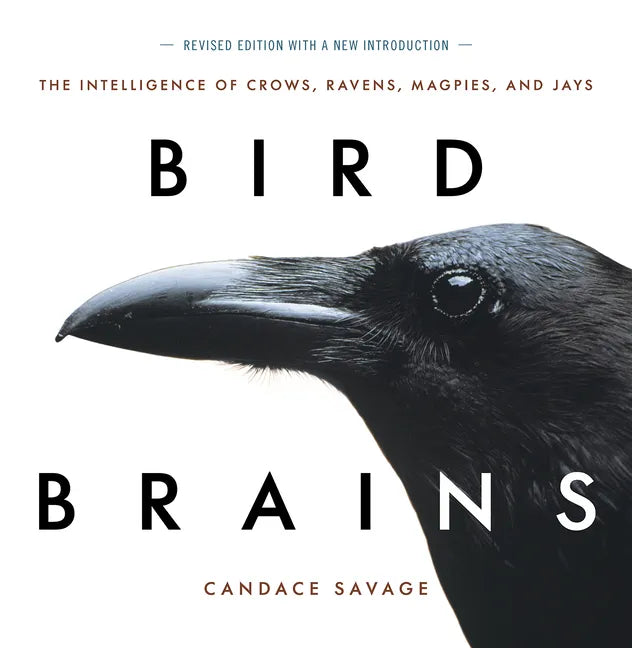 Bird Brains: The Intelligence of Crows, Ravens, Magpies, and Jays - Paperback
