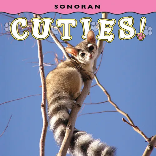 Sonoran Cuties! - Board Book