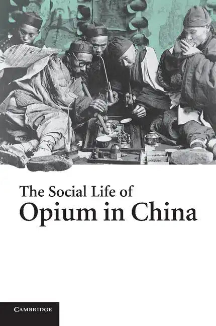 The Social Life of Opium in China - Paperback