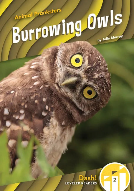 Burrowing Owls - Library Binding