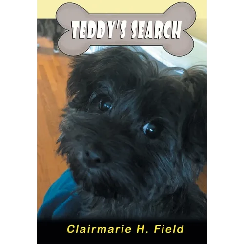 Teddy's Search - Paperback