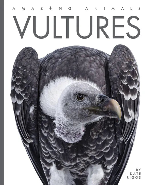 Vultures - Paperback