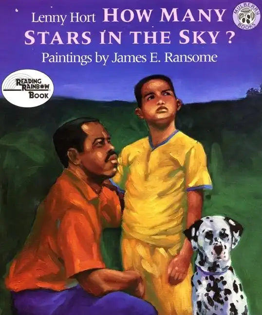 How Many Stars in the Sky? - Paperback