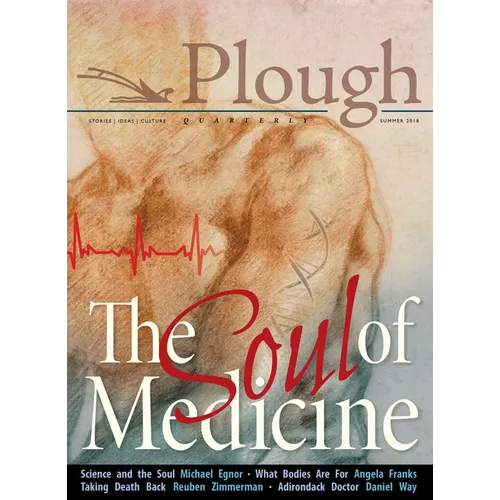 Plough Quarterly No. 17- The Soul of Medicine - Paperback