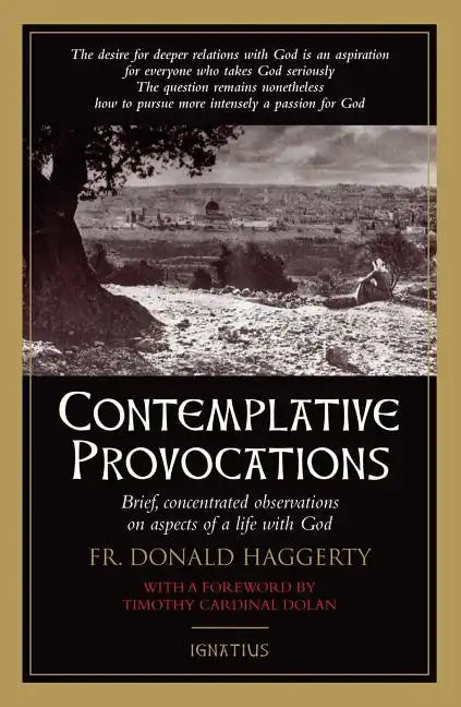 Contemplative Provocations: Brief, Concentrated Observations on Aspects of a Life with God - Paperback