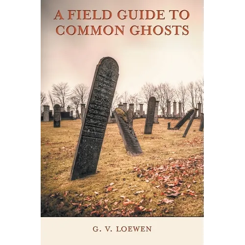 A Field Guide to Common Ghosts