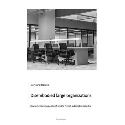 Disembodied large organizations: How adventurers vanished from the French automobile industry - Paperback