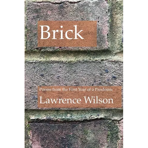 Brick: Poems from the First Year of a Pandemic - Paperback