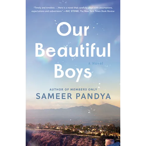 Our Beautiful Boys - Paperback