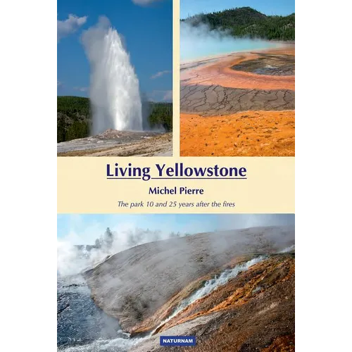 Living Yellowstone: The Park 10 and 25 Years After the Fires - Paperback