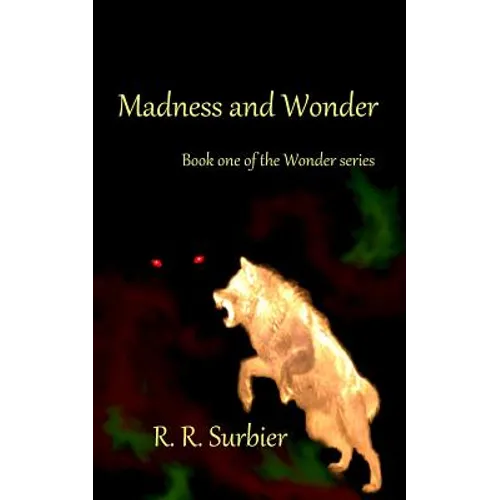 Madness and Wonder: Book one of the Wonder series - Paperback