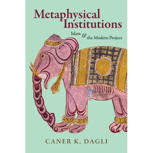 Metaphysical Institutions: Islam and the Modern Project - Paperback