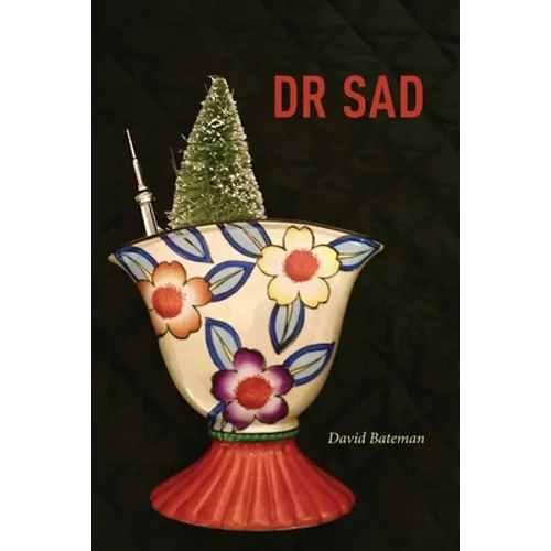 Dr Sad - Paperback
