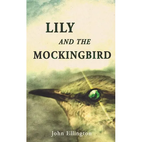 Lily and the Mockingbird - Paperback