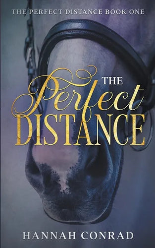 The Perfect Distance - Paperback