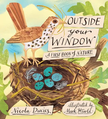 Outside Your Window: A First Book of Nature - Hardcover