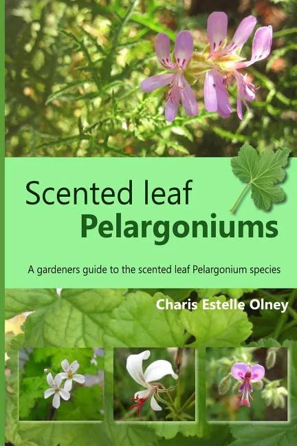 Scented leaf pelargoniums: A gardeners guide to the scented leaf pelargonium species - Paperback
