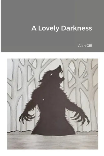 A Lovely Darkness - Paperback